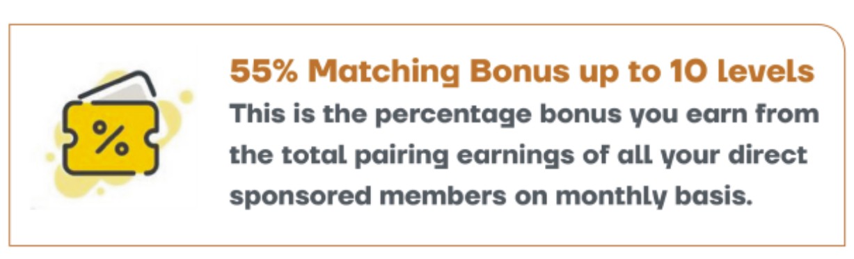 dynace global matching bonus compensation plan