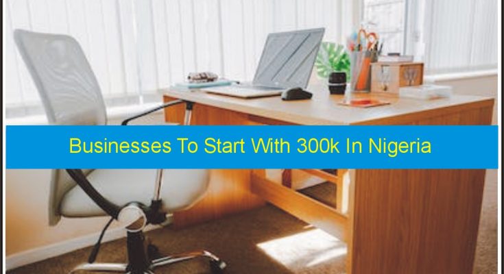 business to start with 300k in nigeria