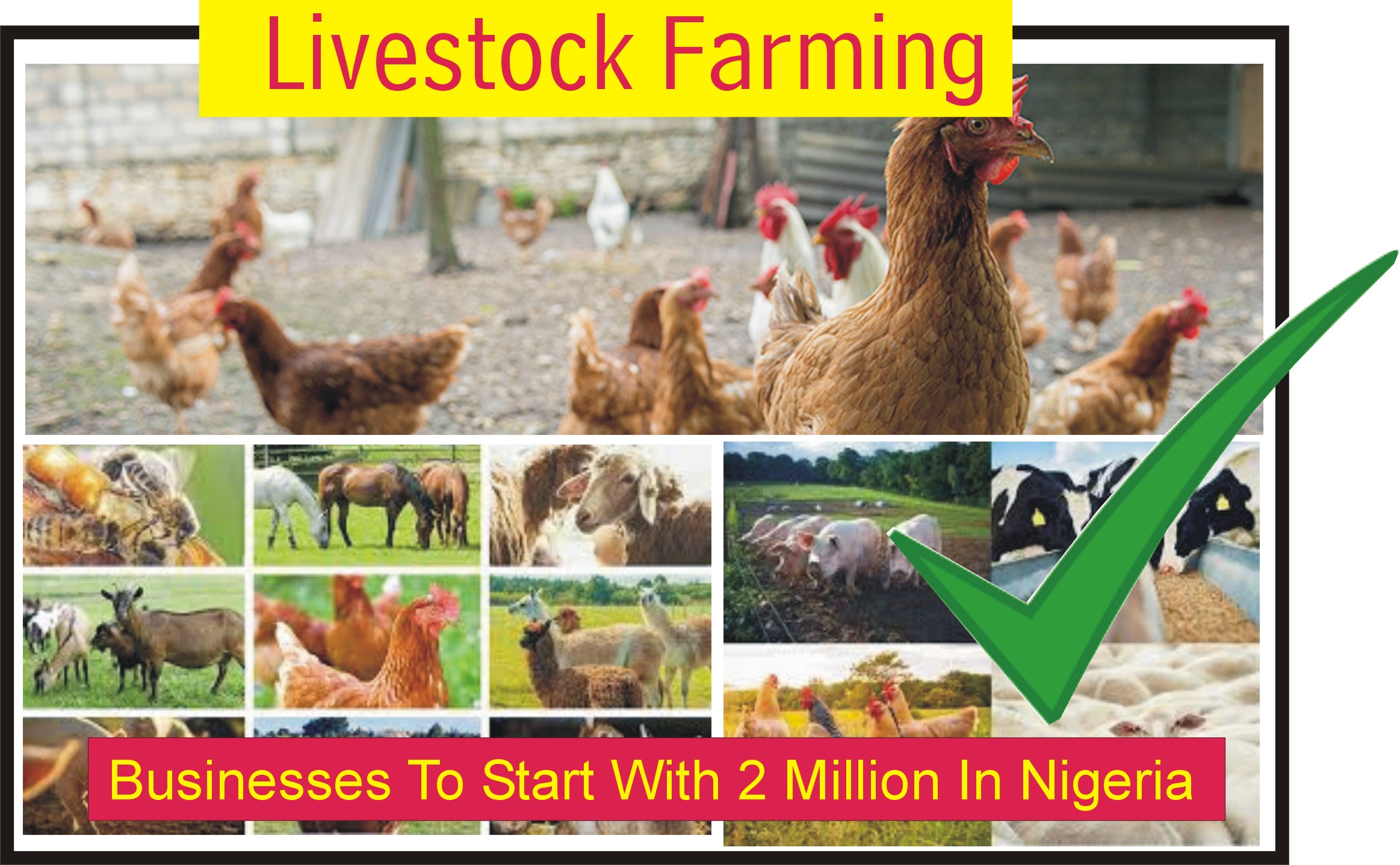 livestock farming